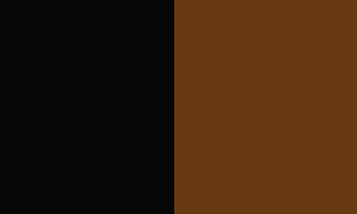 brun et noir